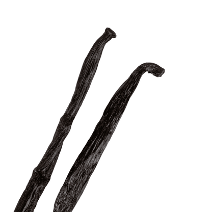 Bio Bourbon Vanillestangen