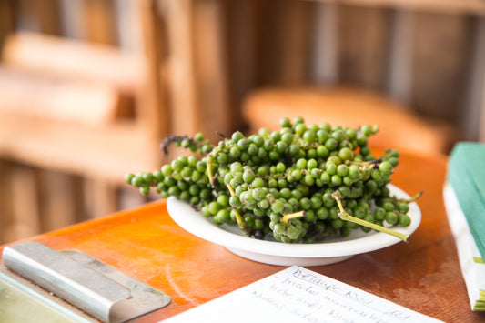 Gewürzseminar Pfeffer