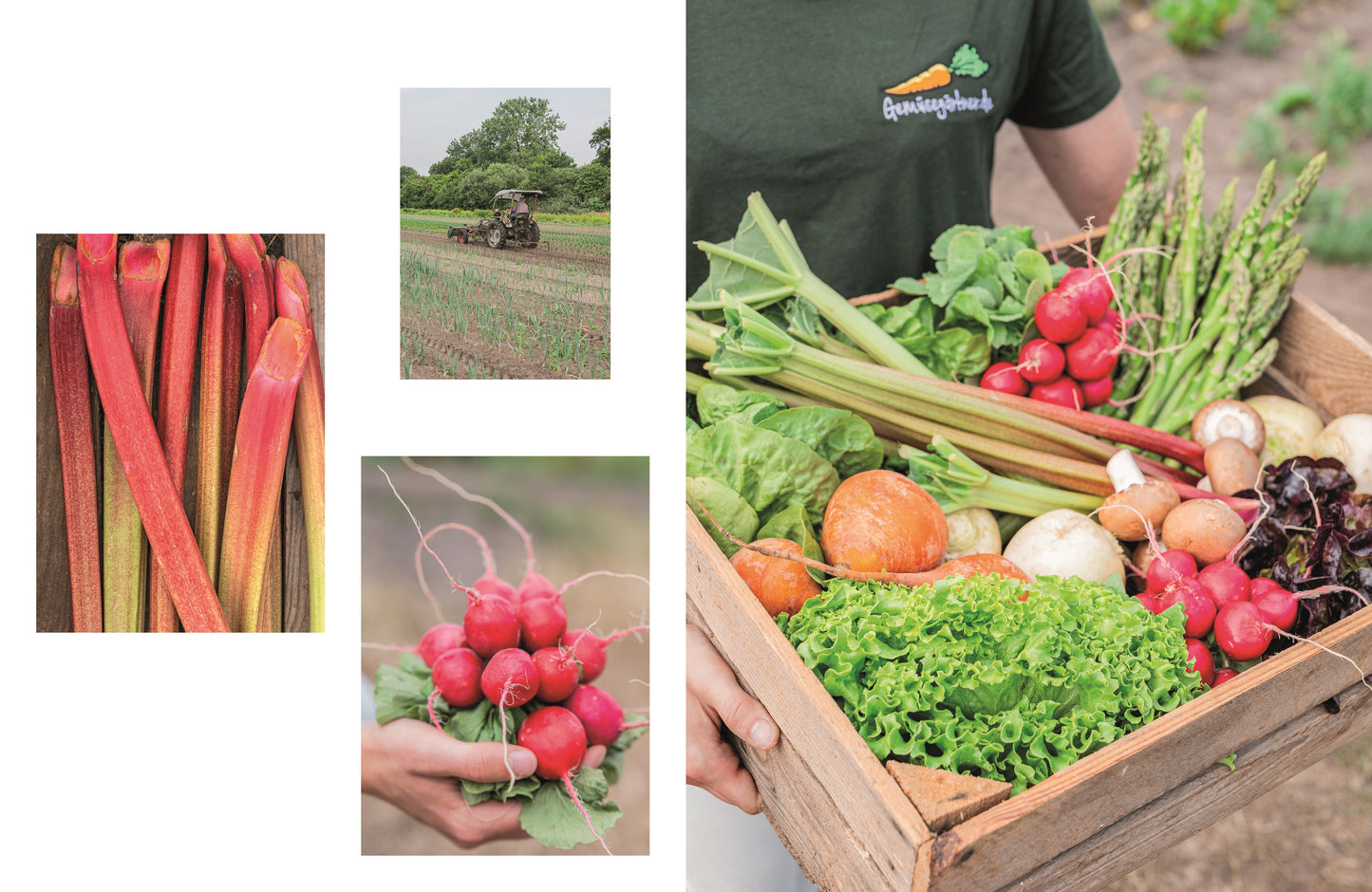 Das Gemüsekisten Kochbuch