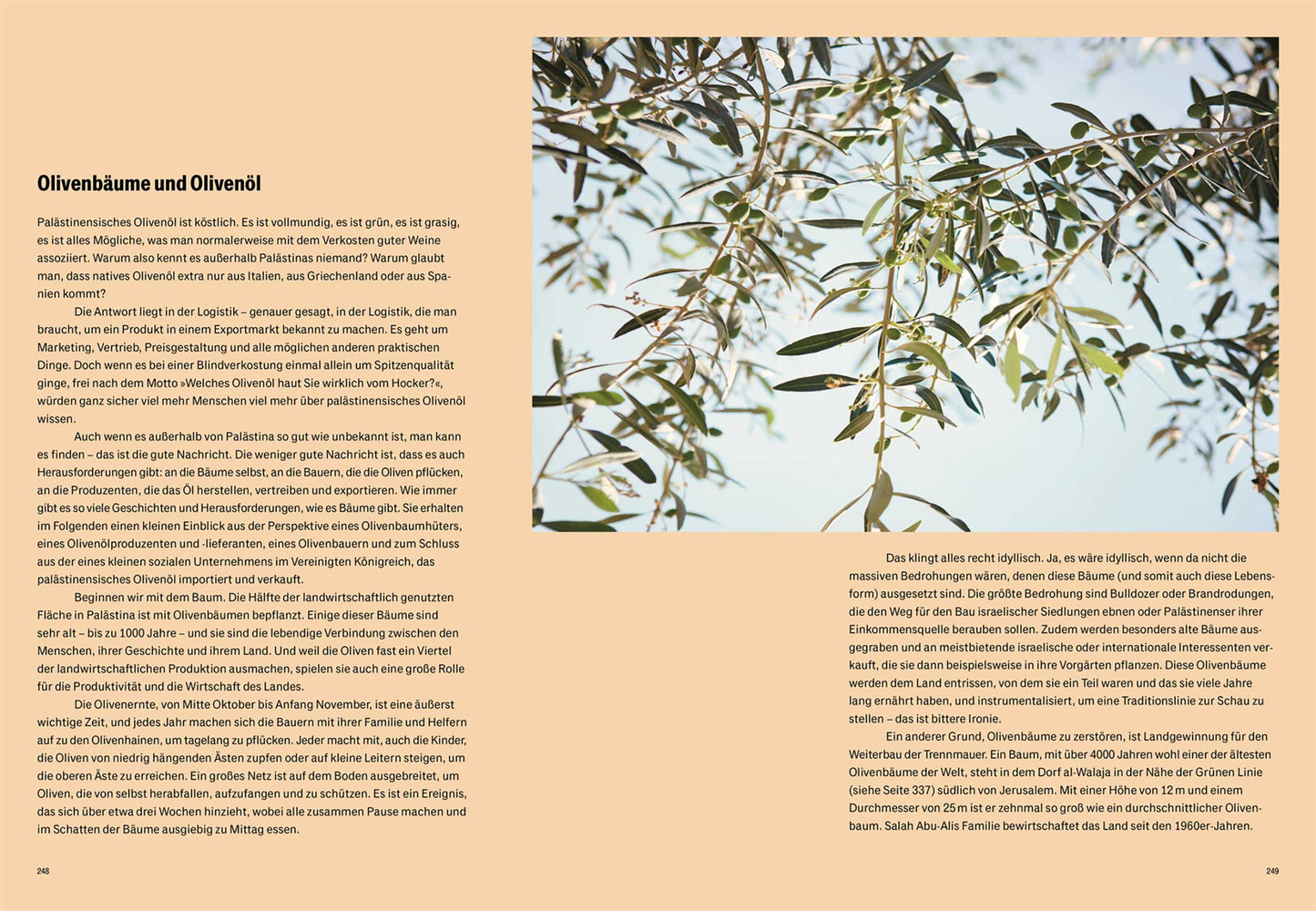 Geschenkset Palästina