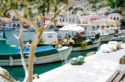 Sonne und Meer auf dem Teller