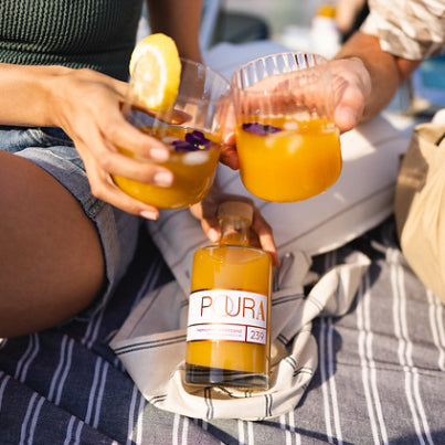 Poura Bio Sanddorn-Essenz 495 ml