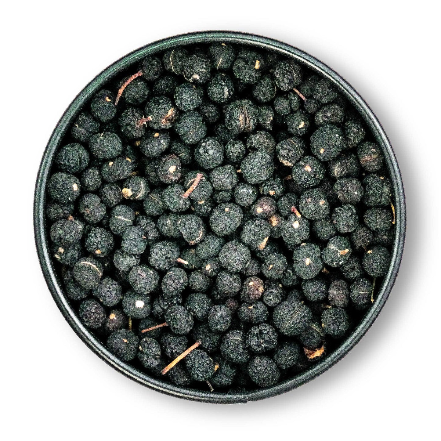 Tasmanischer Bergpfeffer