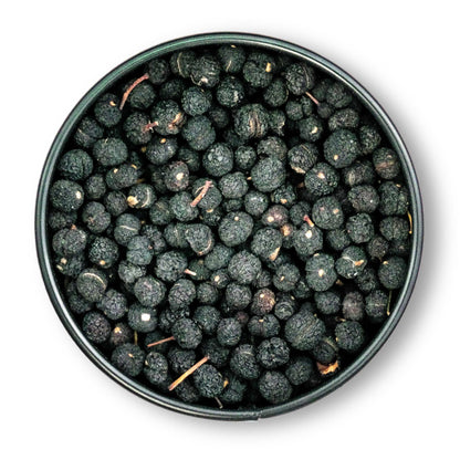 Tasmanischer Bergpfeffer